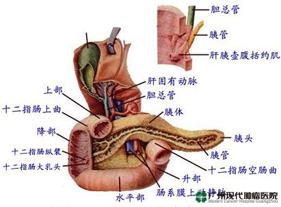 十二指肠癌的症状